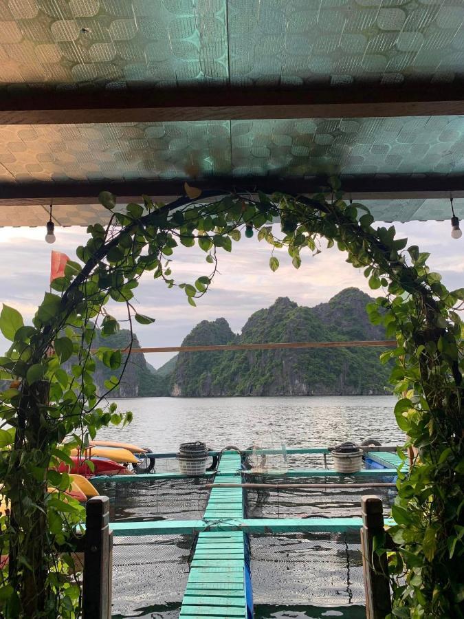 Eco Floating Farm Stay Cai Beo Chan Chau Exteriör bild